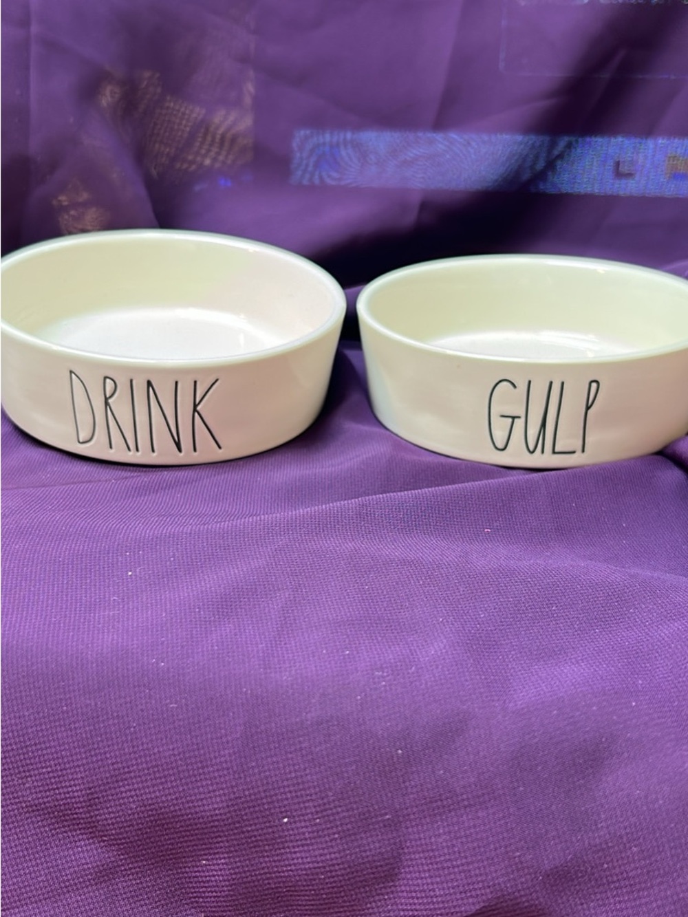 Rae Dunn Cream Ceramic Pet Bowls - DRINK & GULP Set